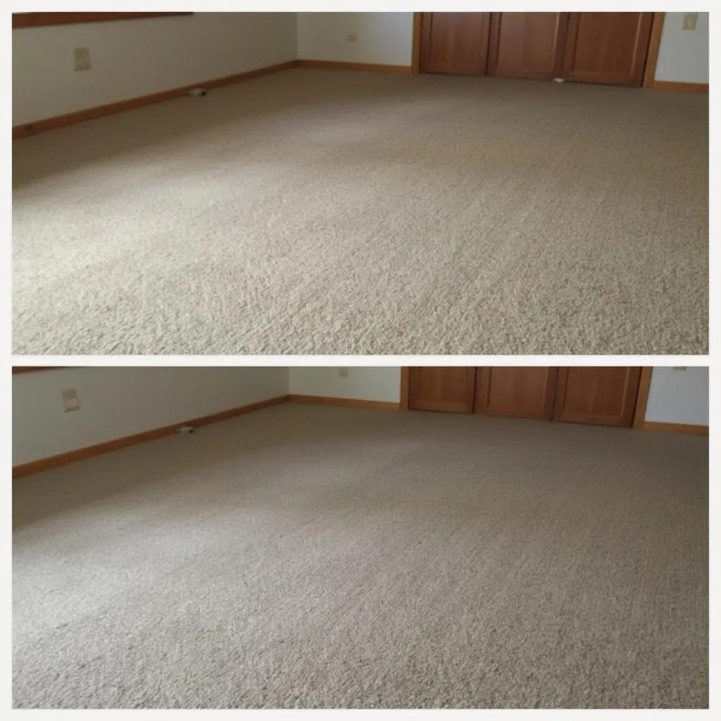 Limpieza de alfombra de sala
